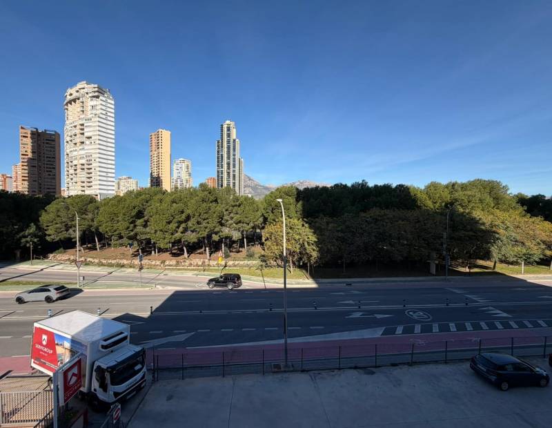 Vente - Studio - Levante - Benidorm