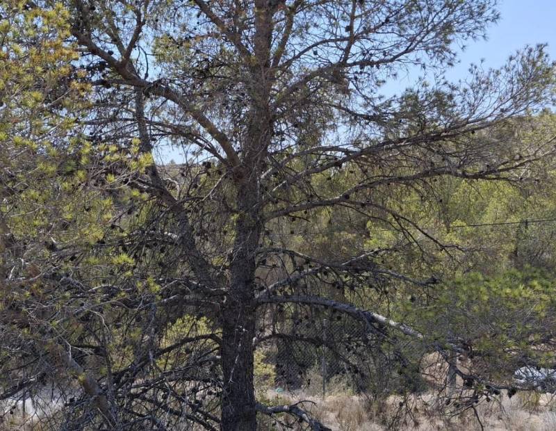 Продажа - участок без лицензии - Villajoyosa