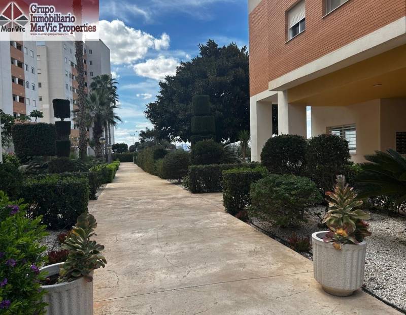 Продажа - квартира - PUERTO - Guardamar del Segura
