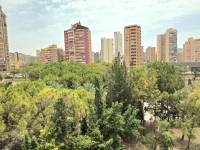 https://fotos15.apinmo.com/1156/29728886/55-2.jpg
