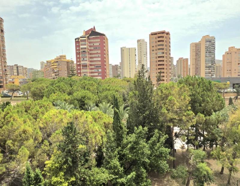 Sale - Flat - Poniente - Benidorm