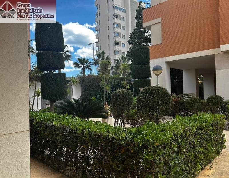 Продажа - квартира - PUERTO - Guardamar del Segura