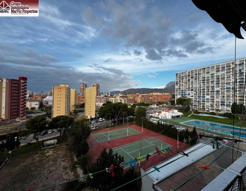 Vente - Studio - Juzgados - Benidorm