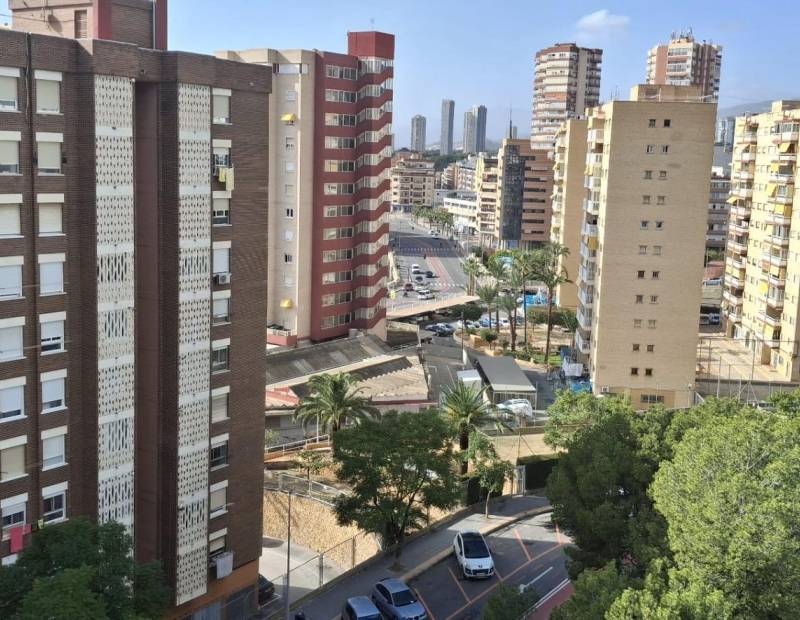 Sale - Studio - Juzgados - Benidorm