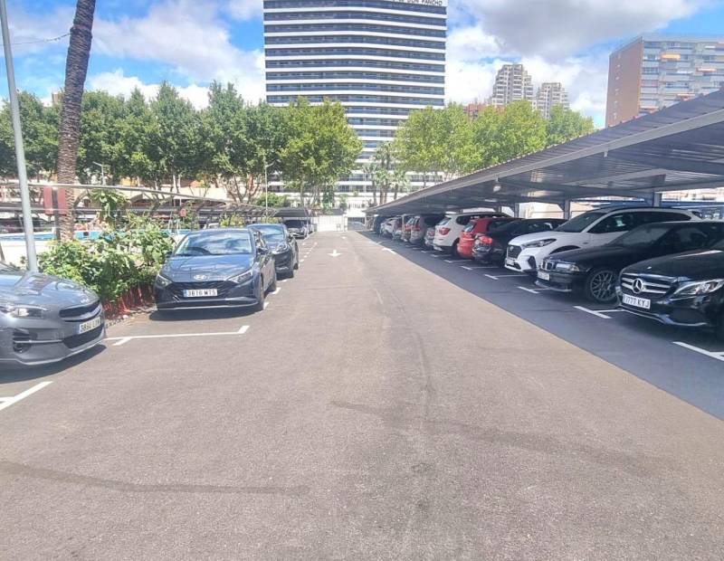 Venta - Estudio - Avenida del Mediterraneo - Benidorm