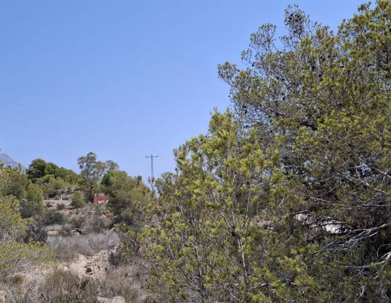 Продажа - участок без лицензии - Villajoyosa