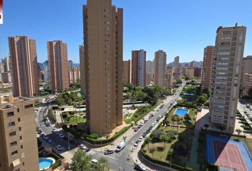 Piso - Vente - Juzgados - Benidorm