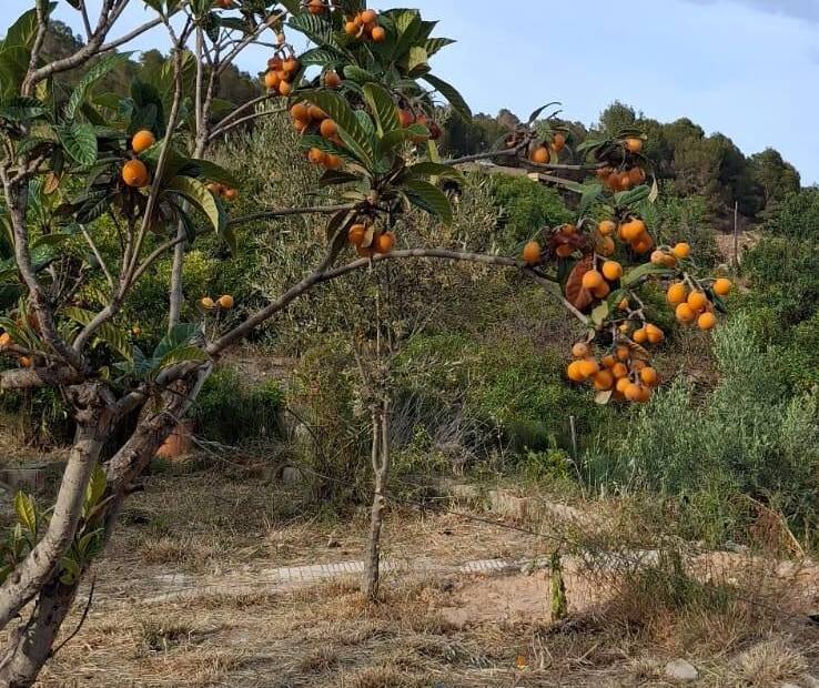 Продажа - участок без лицензии - La nucia - La Nucía