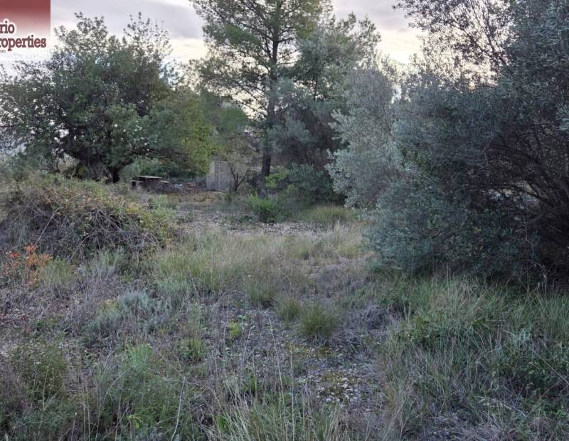 Sale - Plot of land - Beniarda