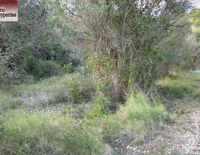 Sale - Plot of land - Beniarda