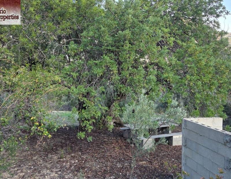 Sale - Plot of land - Beniarda