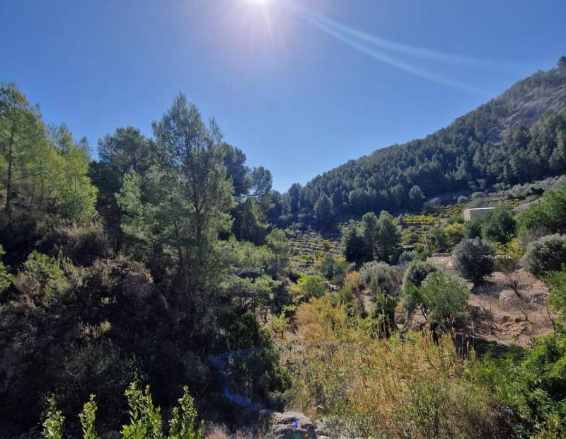 Sale - Rustic property - Campo - Bolulla