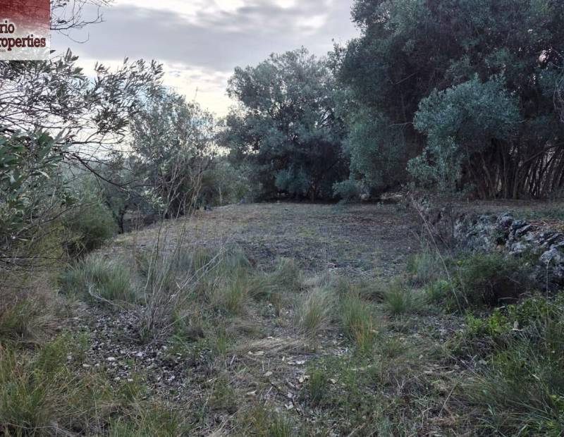 Sale - Plot of land - Beniarda