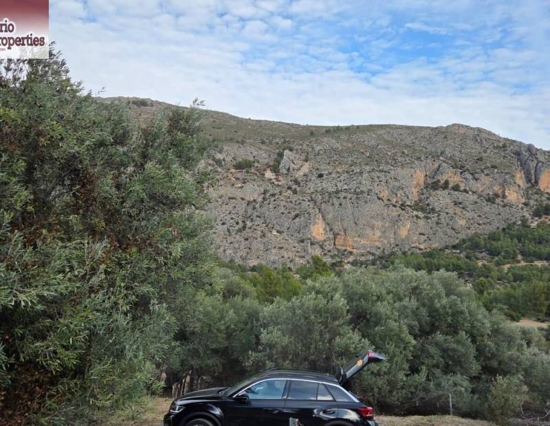 Sale - Plot of land - Beniarda