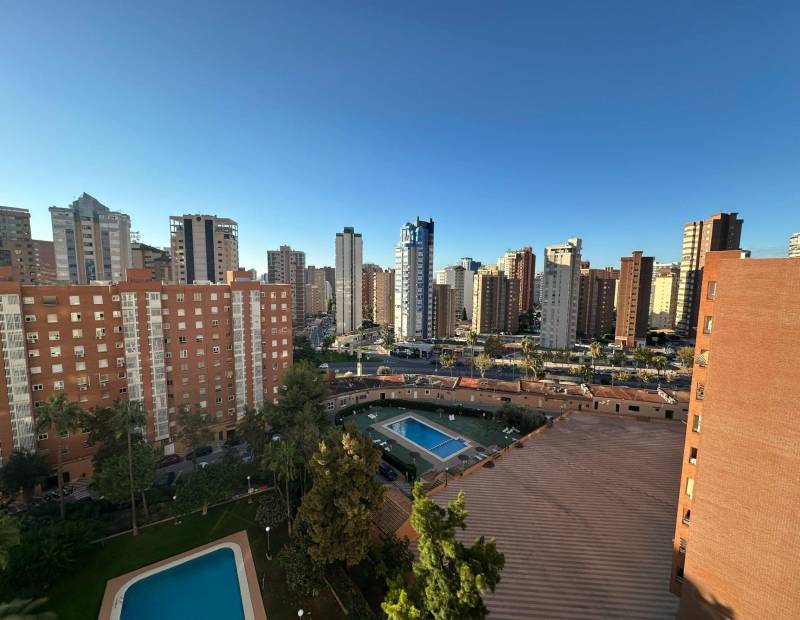 Venta - Apartamento - Avenida Alfonso Puchades - Benidorm