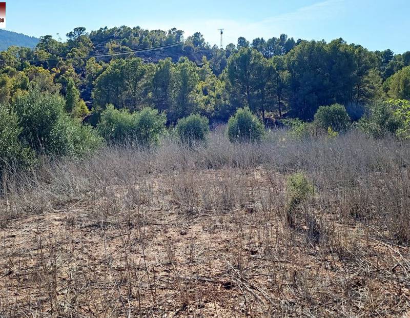 Sale - Rural Land - Partida adzubia - Finestrat