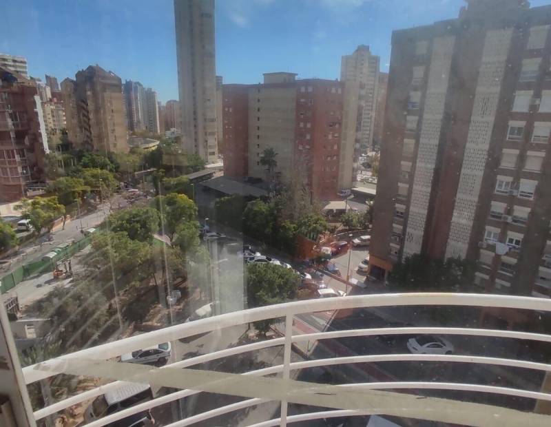  - Estudio - Plaza de Toros - Benidorm