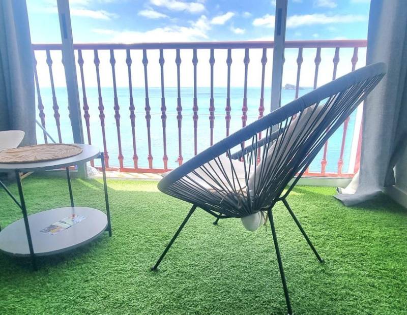 Venta - Estudio - Avenida del Mediterraneo - Benidorm