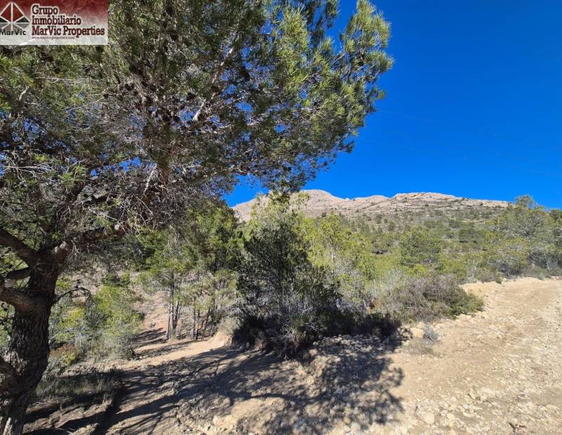 Продажа - ЗЕМЕЛЬНЫЕ УЧАСТКИ - Finestrat Pueblo - Finestrat