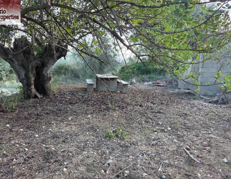 Sale - Plot of land - Beniarda