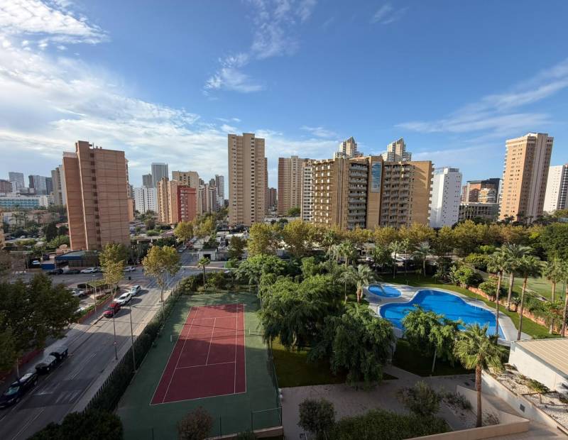Venta - Apartamento - Juzgados - Benidorm