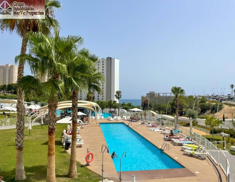 Venta - Piso - Playa de Poniente - Benidorm