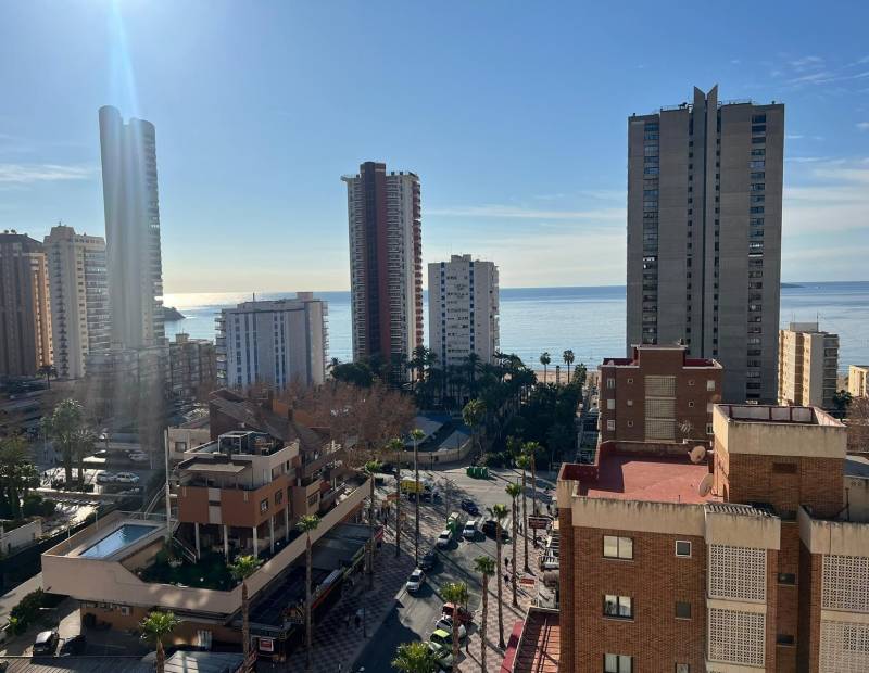 Sale - Apartment - Avenida del Mediterraneo - Benidorm