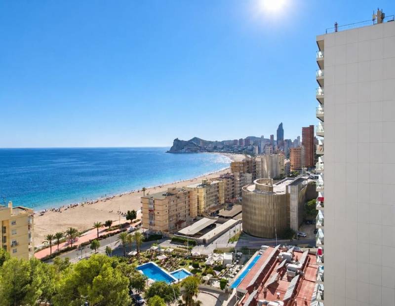 De location - Appartement - Playa de Poniente - Benidorm