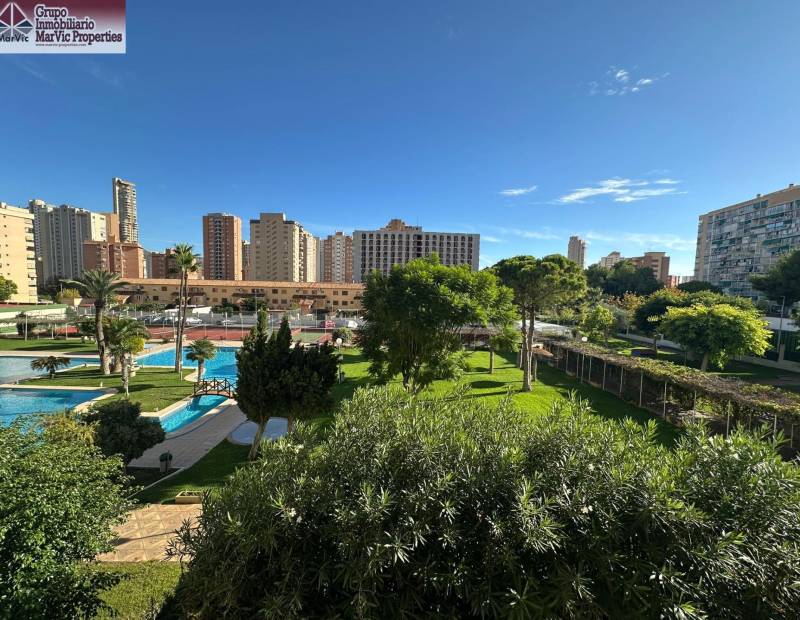 Sale - Flat - Nuevos Juzgados - Benidorm