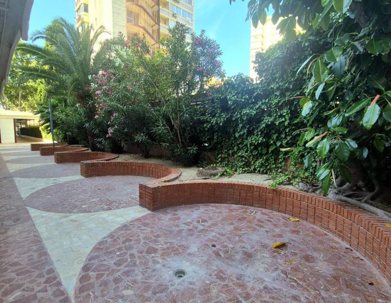 Sale - Studio - Avenida del Mediterraneo - Benidorm