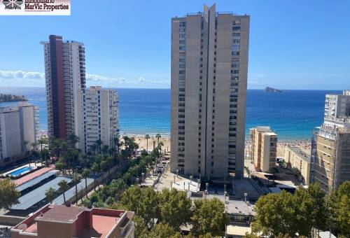 Piso - Venta - Avenida del Mediterraneo - Benidorm