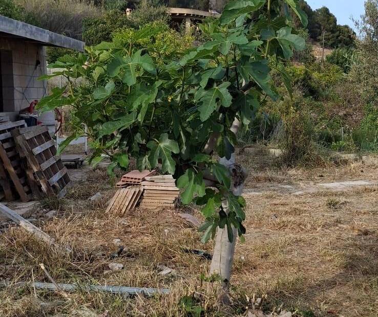 Продажа - участок без лицензии - La nucia - La Nucía