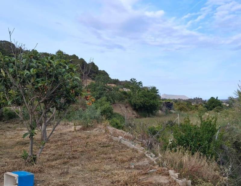 Продажа - участок без лицензии - La nucia - La Nucía