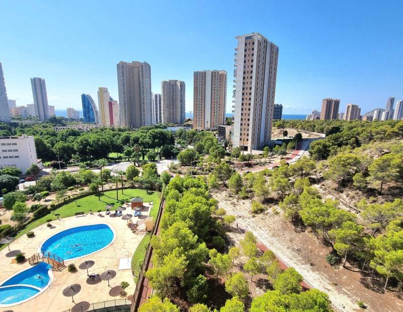 Sale - Apartment - Poniente - Benidorm