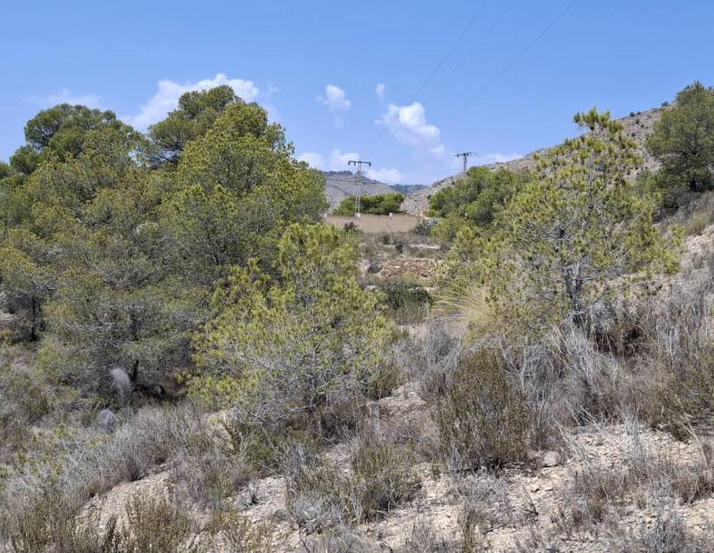 Продажа - участок без лицензии - Villajoyosa