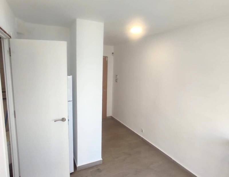  - Estudio - Plaza de Toros - Benidorm