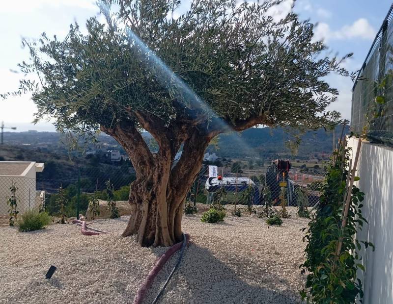 Продажа - Вилла класса люкс - Finestrat hills - Finestrat