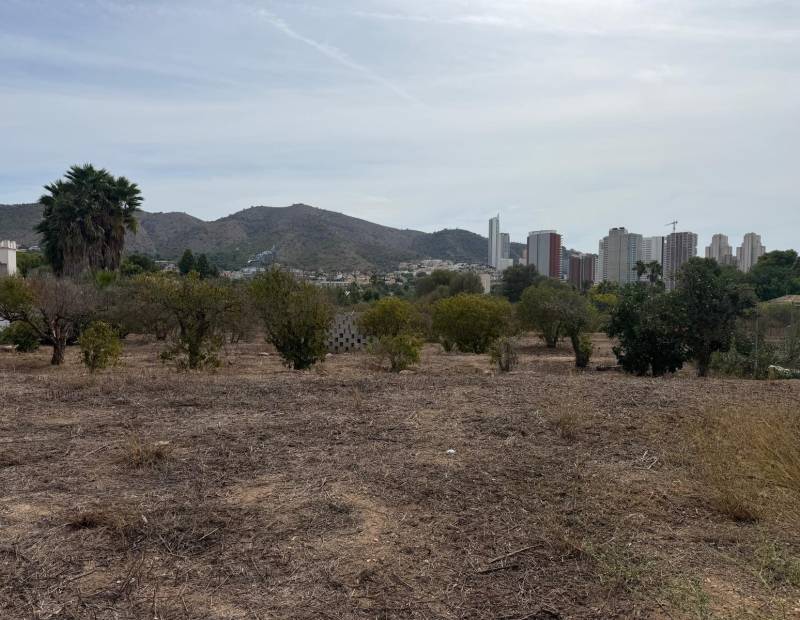 Vente - Propriété rurale - Urbanizaciones - Benidorm