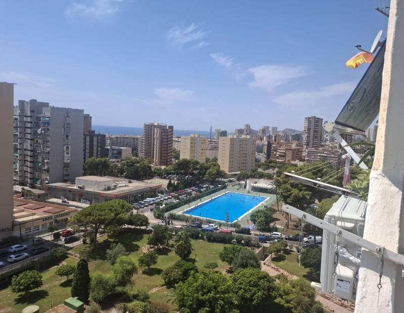De location - Appartement - Pueblo Levante - Benidorm