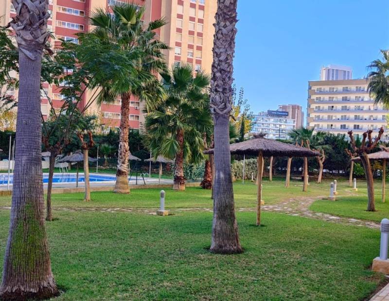 Sale - Apartment - Rincon de Loix - Benidorm