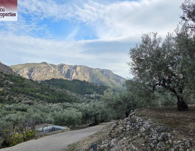 Sale - Plot of land - Beniarda