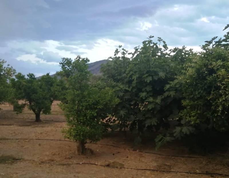 Продажа - Дом с земельным участком - Rincon de Loix - Benidorm