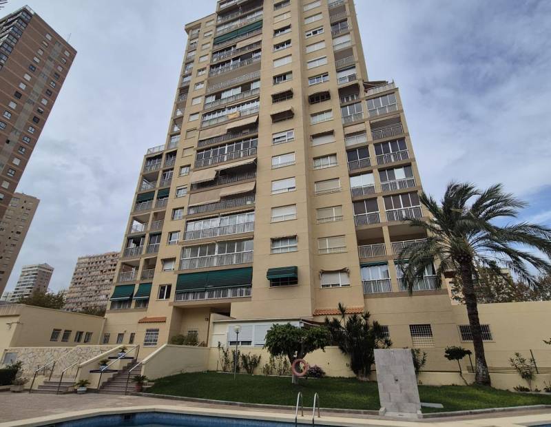 Продажа - квартира - Avenida del Mediterraneo - Benidorm