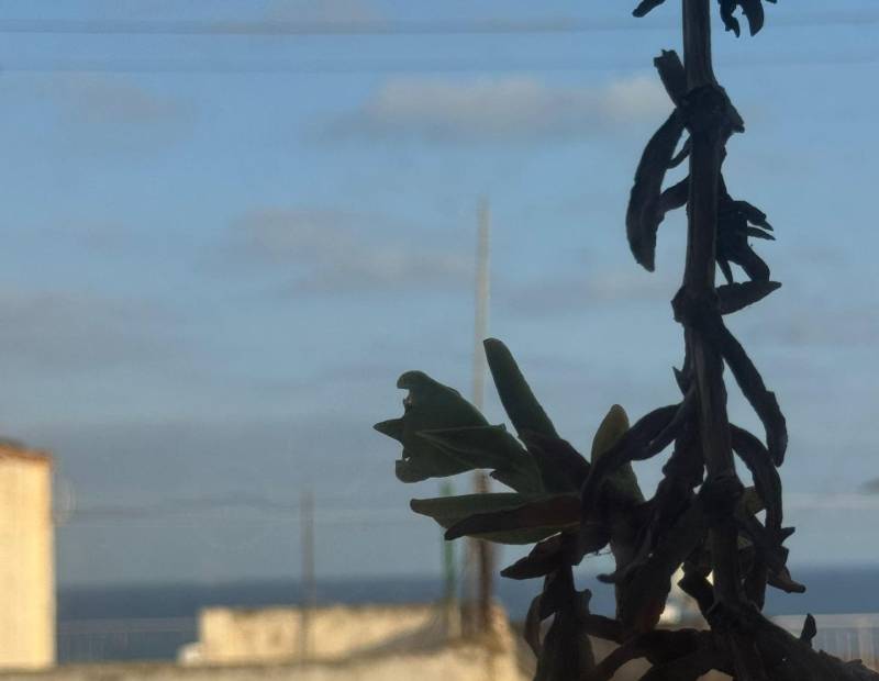 Продажа - квартира - Pueblo - Villajoyosa