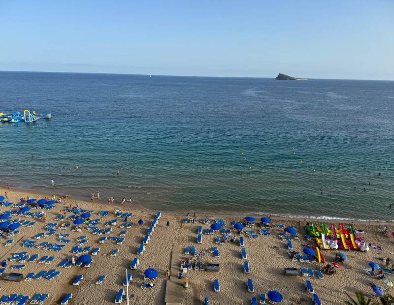 Alquiler - Piso - 1ª Linea - Benidorm