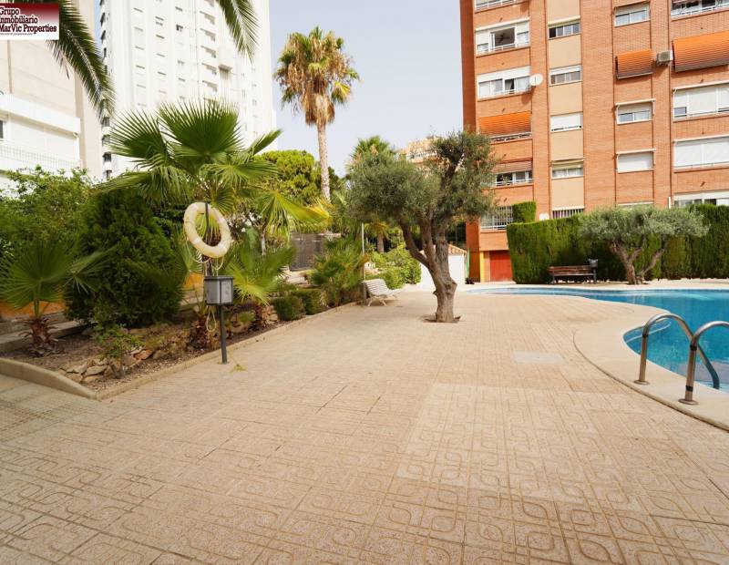 Vente - Appartement de ville - Nuevos Juzgados - Benidorm