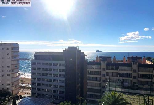 Piso - Аренда - Poniente - Benidorm