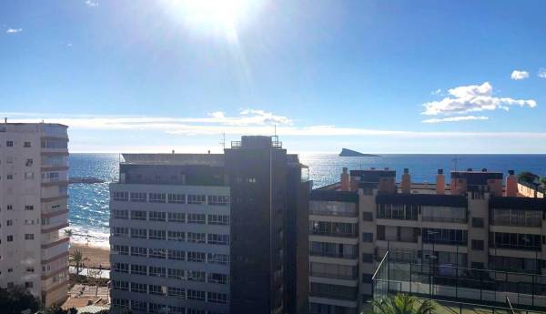Piso - Alquiler - Poniente - Benidorm