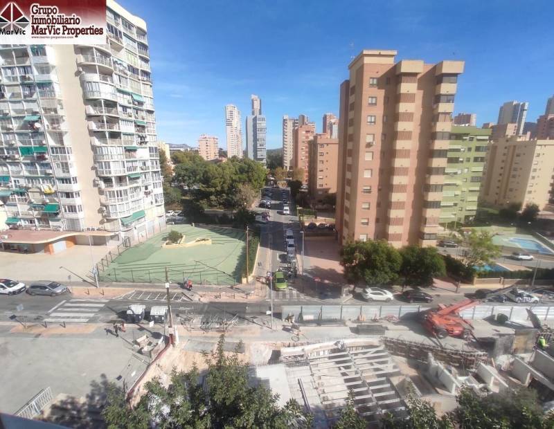  - Estudio - Plaza de Toros - Benidorm