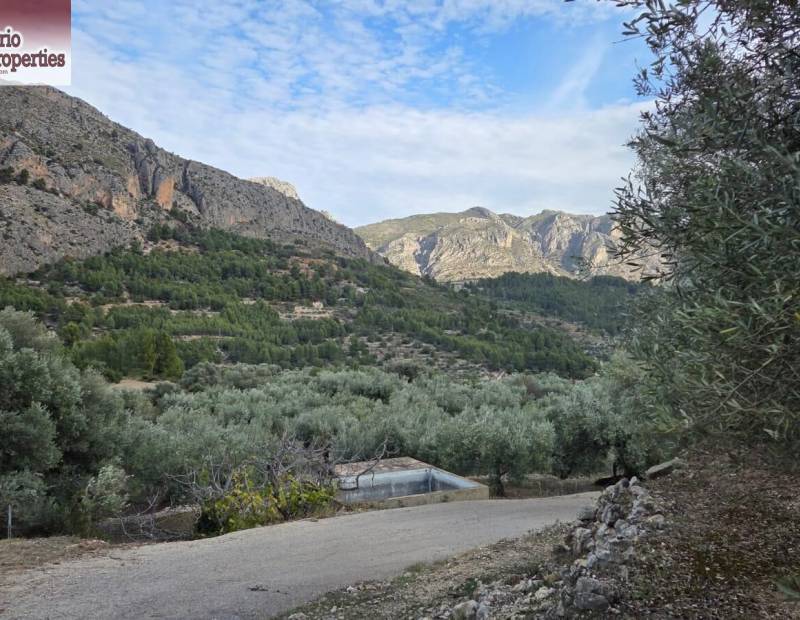 Sale - Plot of land - Beniarda